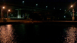 Nec_0542_medium