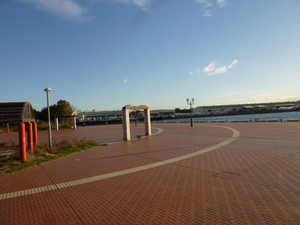 P1030353_medium
