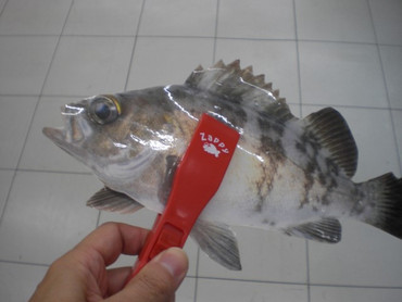 Cimg4780_small