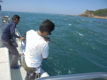 Dsc04249_medium