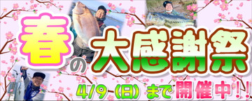 Photo_2 Photo_2