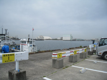 Img_1662_medium