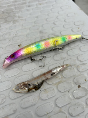 587461769581821955_medium 587461769581821955_medium