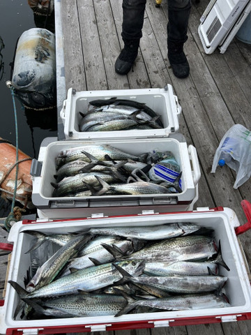 587487060395556951_medium 587487060395556951_medium