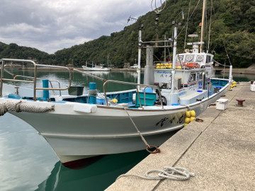 587776500020019320 587776500020019320