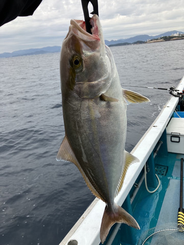 587776505002852370 587776505002852370