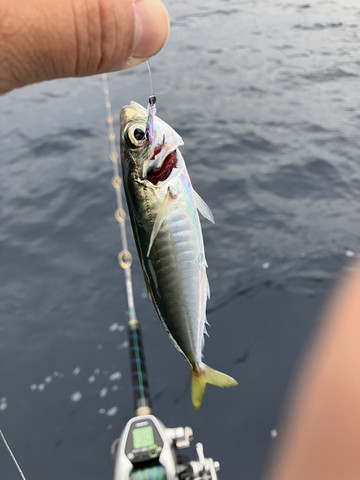 587776506076856492 587776506076856492