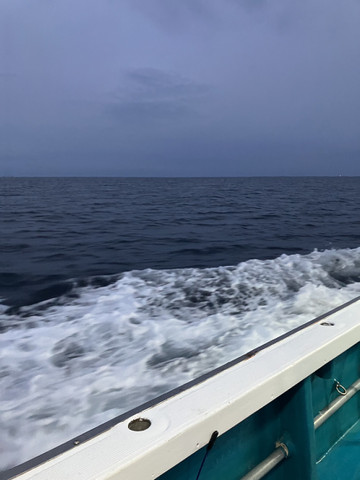 587776507234484466 587776507234484466