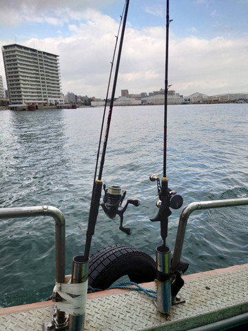 589402267229880733 589402267229880733