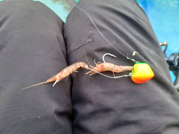 589402268973924813 589402268973924813