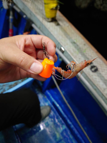 589402271994610022 589402271994610022