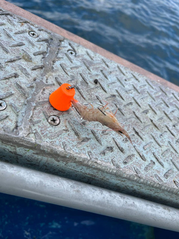 589421794013479253 589421794013479253