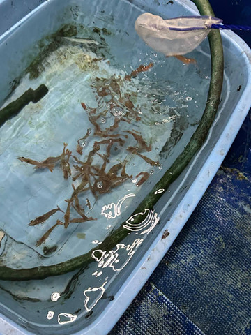 589421797720457515 589421797720457515