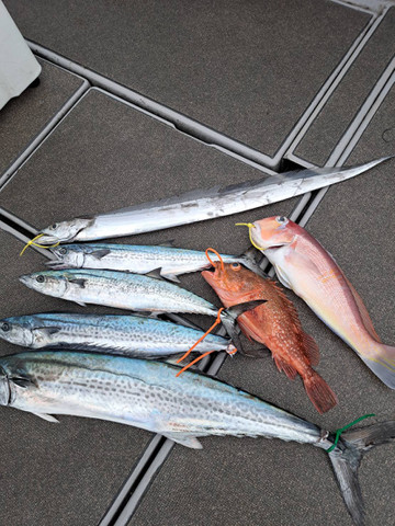 589356987956330973 589356987956330973