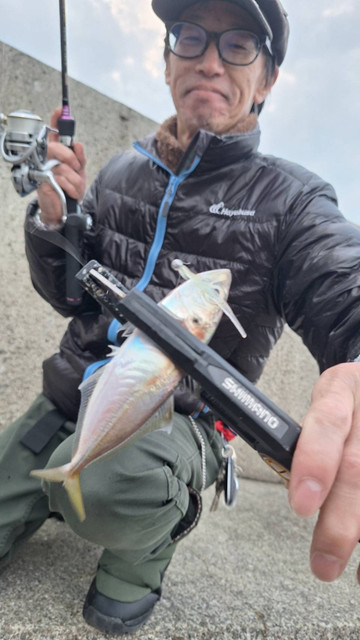 591176559726690308 591176559726690308