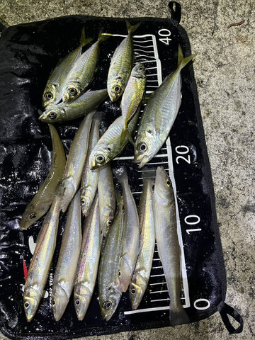 591393703742931462 591393703742931462