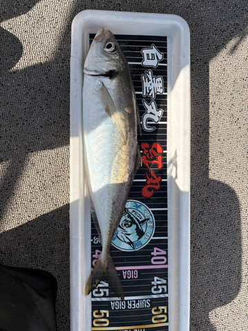 592864708667637817_1