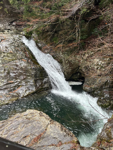 606335166784733508_medium