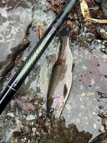 606335276289622272_medium