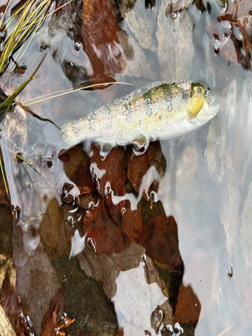 606335281004020055_medium