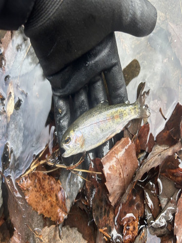 606335290852508060_medium