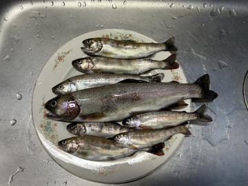 606491456265781929_medium