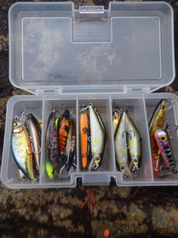 606613766683754718_medium