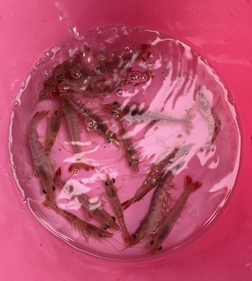 606625131301175302_medium_2