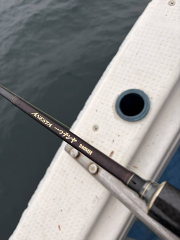 606654136507433202_medium_2