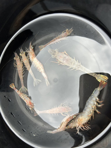 609368800181354928_medium 609368800181354928_medium