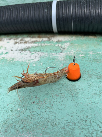 609406273352106089_medium 609406273352106089_medium