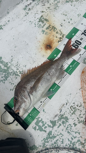 609440487933477049_medium 609440487933477049_medium