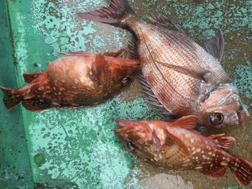 609546480076194117_medium 609546480076194117_medium