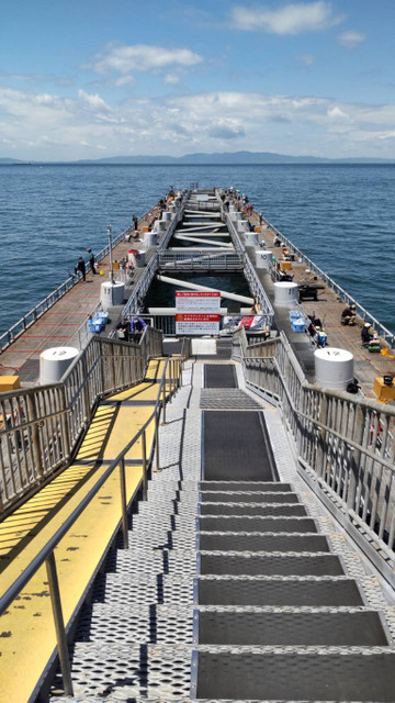 611527926462808389_medium