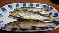 Imgp0225