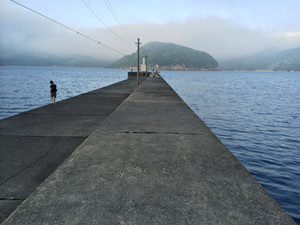 Img_0196_medium Img_0196_medium