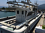 Img_0201_medium