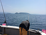 Img_0203_medium