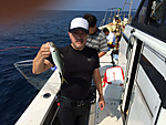 Img_0209_medium