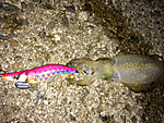 Img_0483_medium
