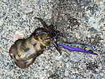 Img_0739_medium Img_0739_medium