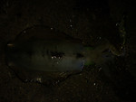 Img_0820_medium_3