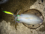 Img_0833_medium