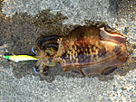 Img_0848_medium_2
