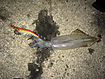 Img_0849_medium