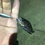 Img_0851_medium