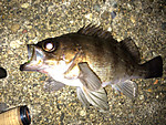Img_0471_medium