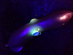 Img_0485_medium