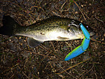 Img_0494_medium