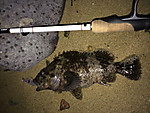 Img_0900_medium